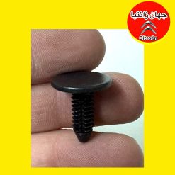 خار شلگیر زانتیا