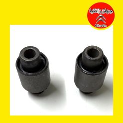 بوش دوشاخه رام زانتیا