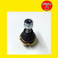 سیبک زیر کمک زانتیا