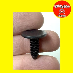 خار شلگیر زانتیا