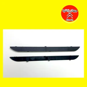 کورکن جلو پنجره زانتیا